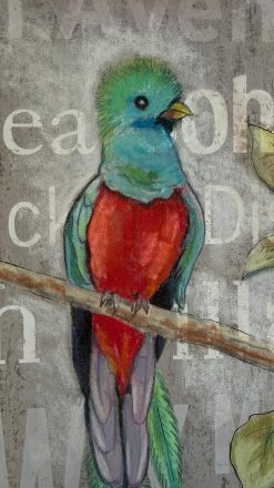Alternative view of Un Quetzal à New York